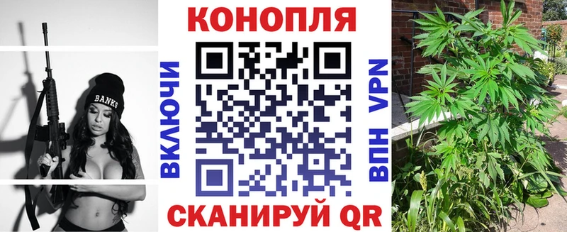 Где купить Стародуб Марихуана  COCAIN  ГАШИШ  МЕГА маркетплейс  Меф  СК 