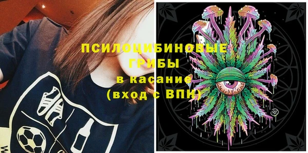 дмт Нягань