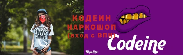 СК Болотное