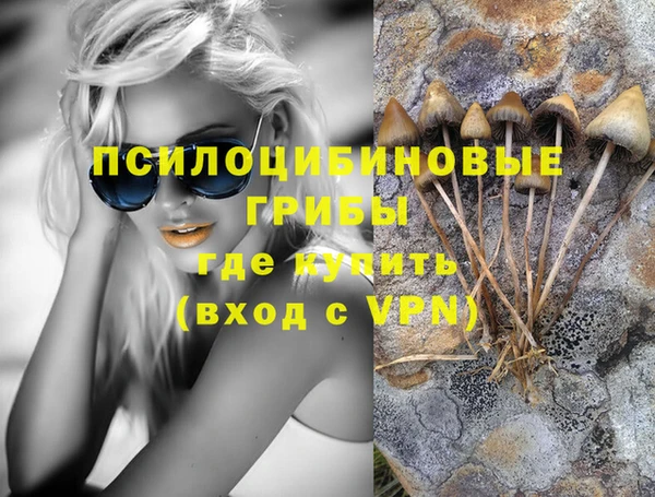 соль курить ск Няндома