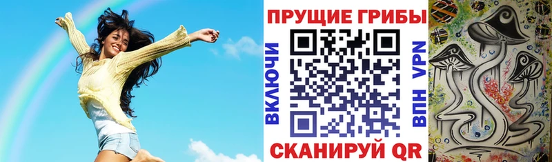 где можно купить наркотик  Стародуб  Псилоцибиновые грибы Magic Shrooms 